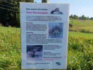 Hinweisschild der Naturschuetzer und Ameisenfreunde CC BY SA 4.0 Isabelle Trees Frauenkappelen Switzerland