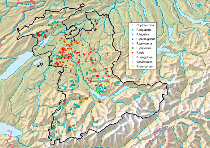 Übersicht über die Verteilung der Waldameisenarten im Kanton Bern bis Ende 2022. CC BY SA 4.0 Isabelle Trees Frauenkappelen Switzerland